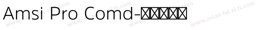 Amsi Pro Comd字体转换